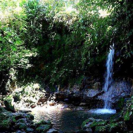 Misahualli Amazon Lodge Tena Εξωτερικό φωτογραφία