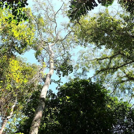Misahualli Amazon Lodge Tena Εξωτερικό φωτογραφία