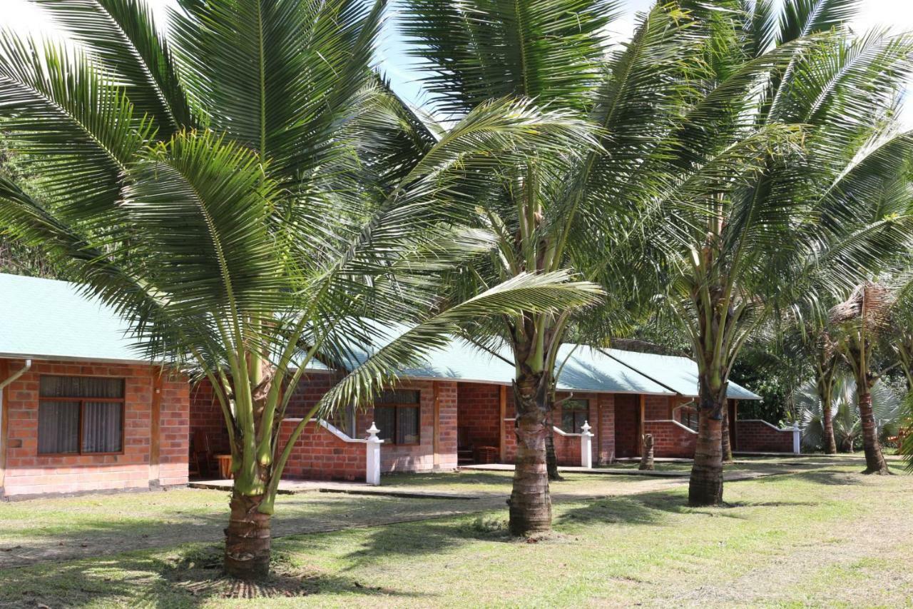 Misahualli Amazon Lodge Tena Εξωτερικό φωτογραφία