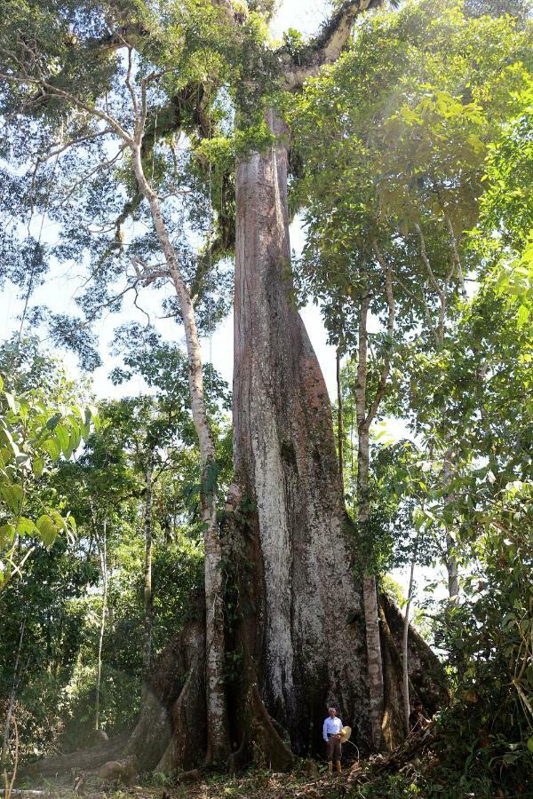 Misahualli Amazon Lodge Tena Εξωτερικό φωτογραφία