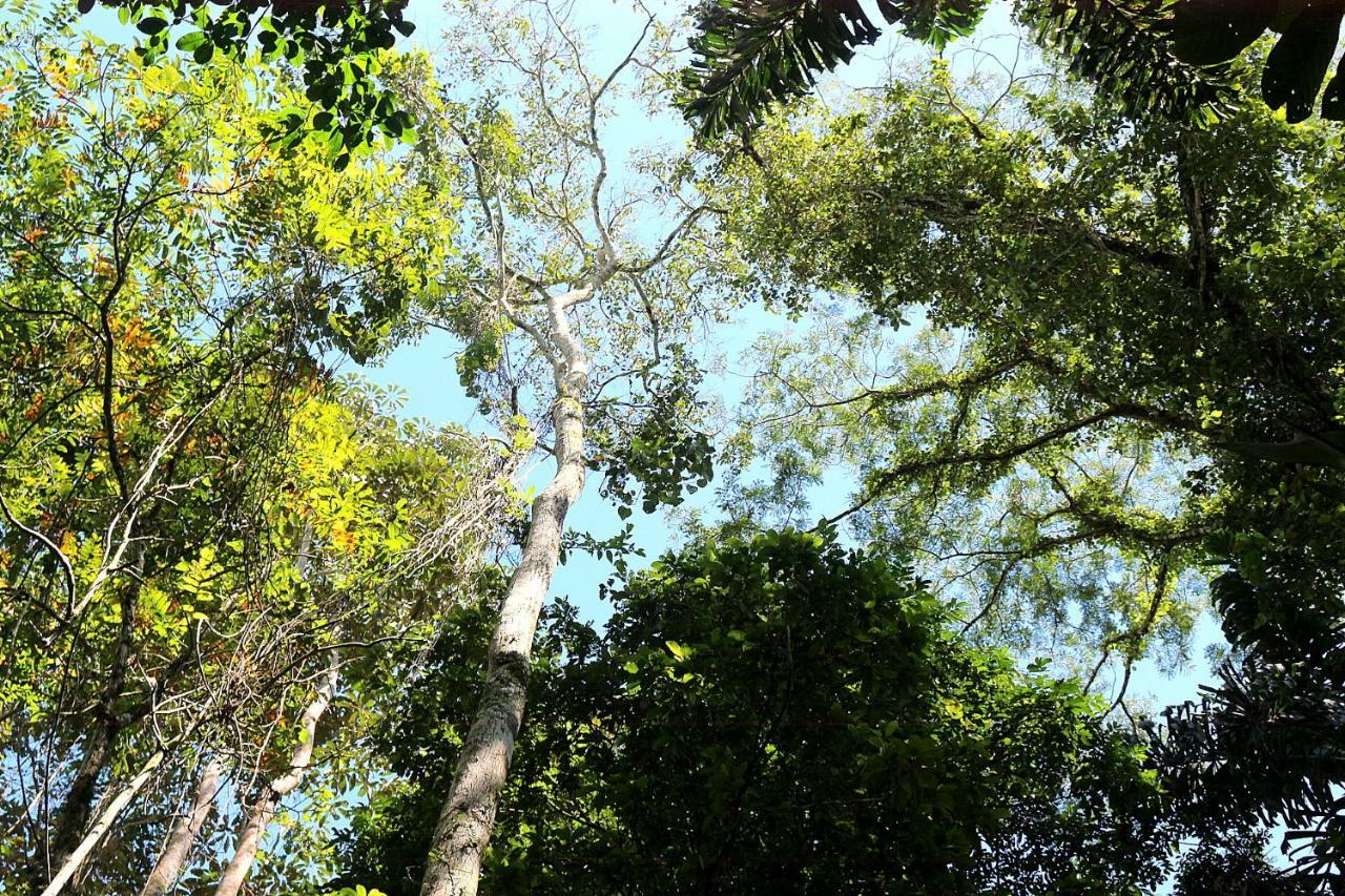 Misahualli Amazon Lodge Tena Εξωτερικό φωτογραφία